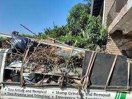 Best Shed Removal  in Blair, NE